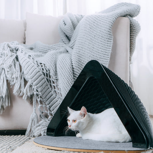 Paper Cat House